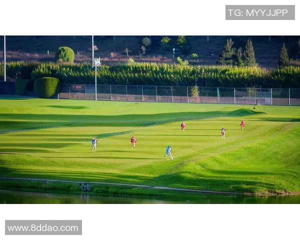 天净沙足球的魅力与激情在绿茵场上绽放的故事与梦想