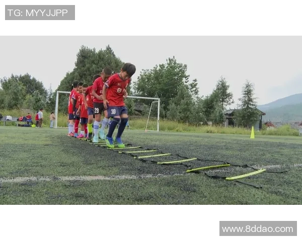 足球什么连带你走进绿茵场的激情与梦想探索足球的魅力与团队精神
